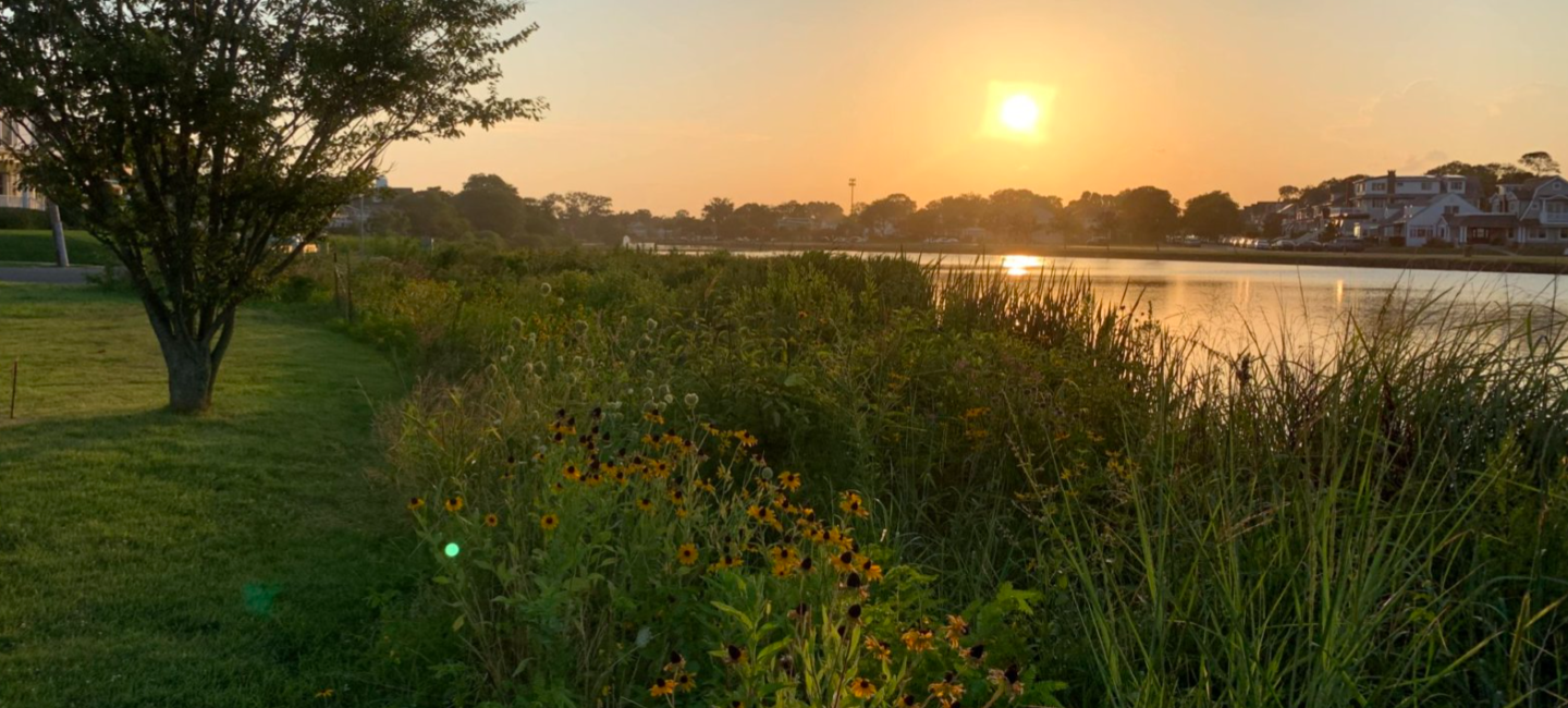 sylvan lake shoreline with flowers at sunset