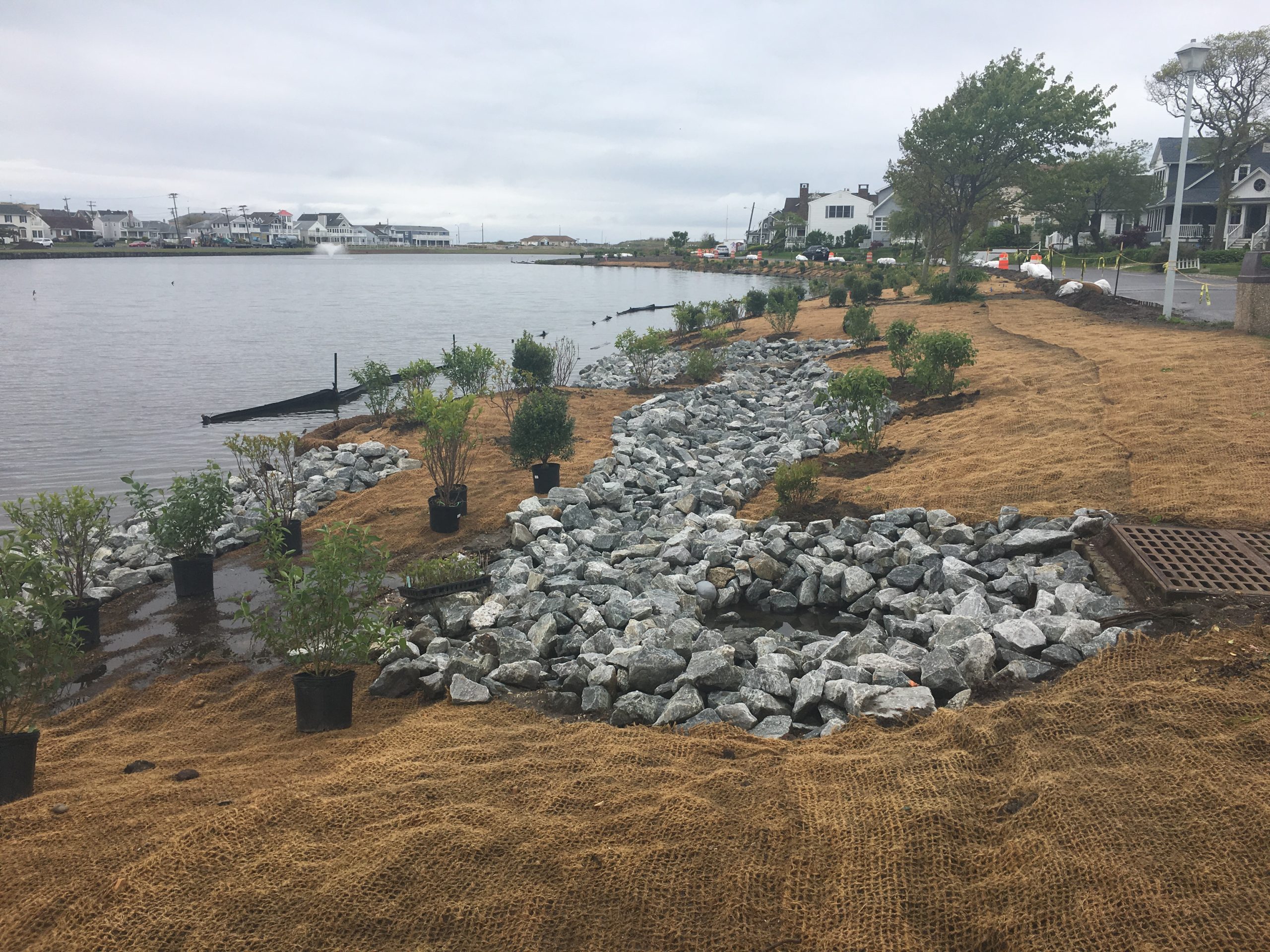 sylvan lake living shoreline in process