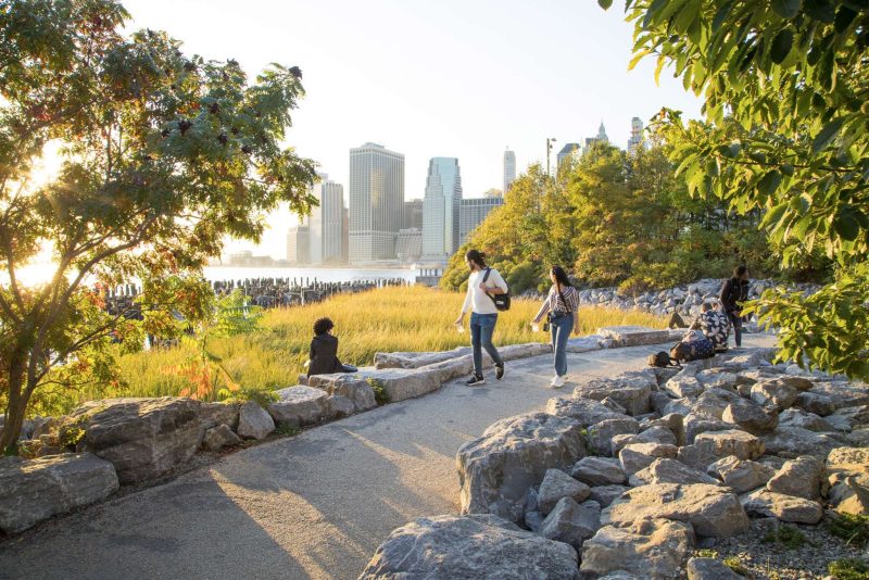 Brooklyn Bridge Park Ecological Design