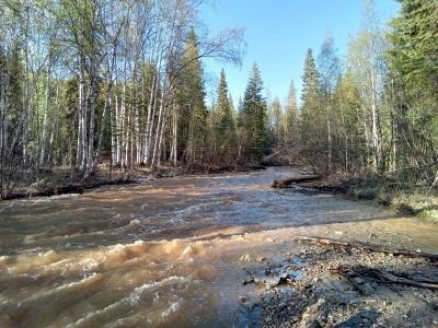 river running through canadian forest