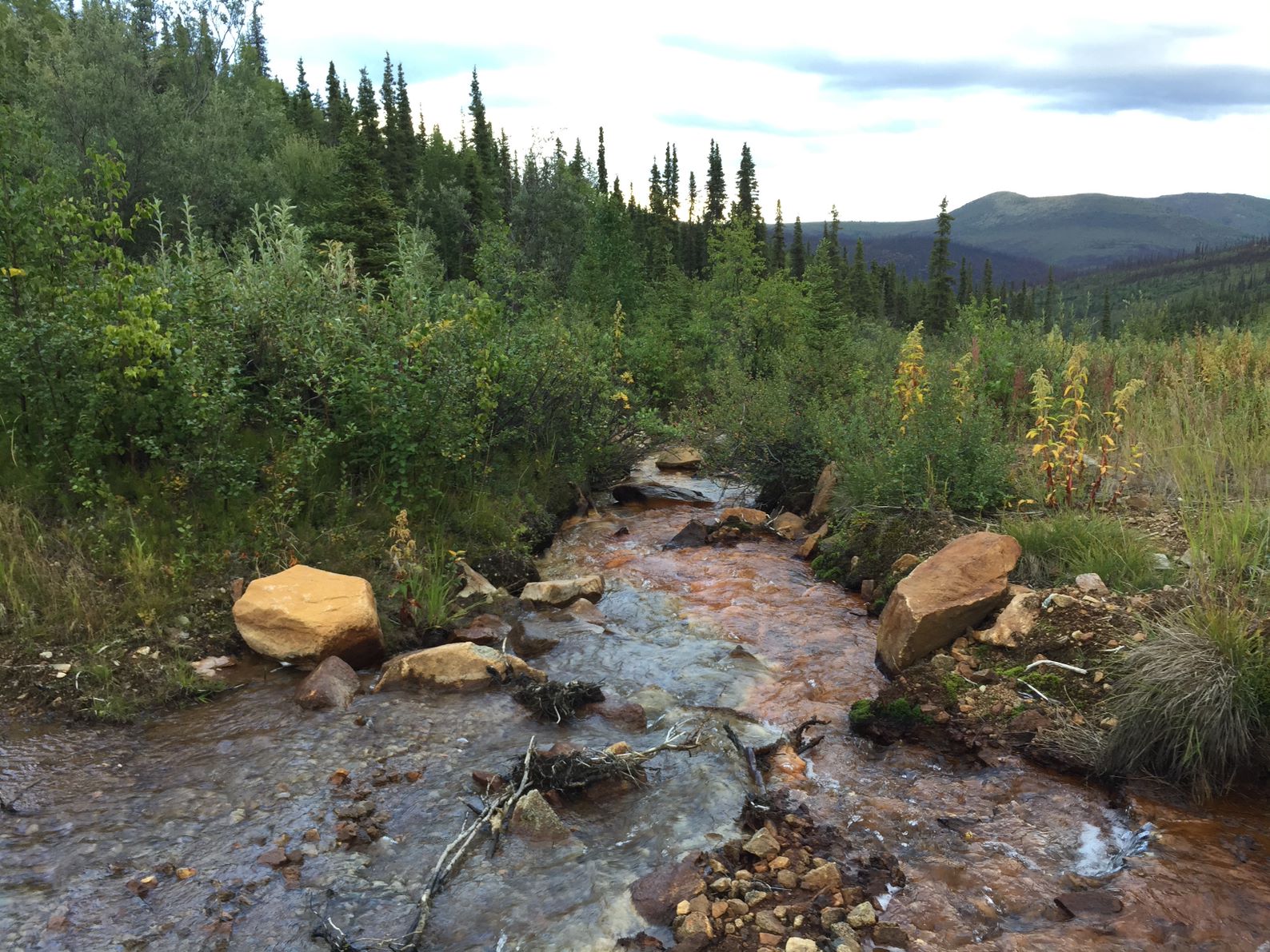 creek water moving through rocky area in forested mountains in canada