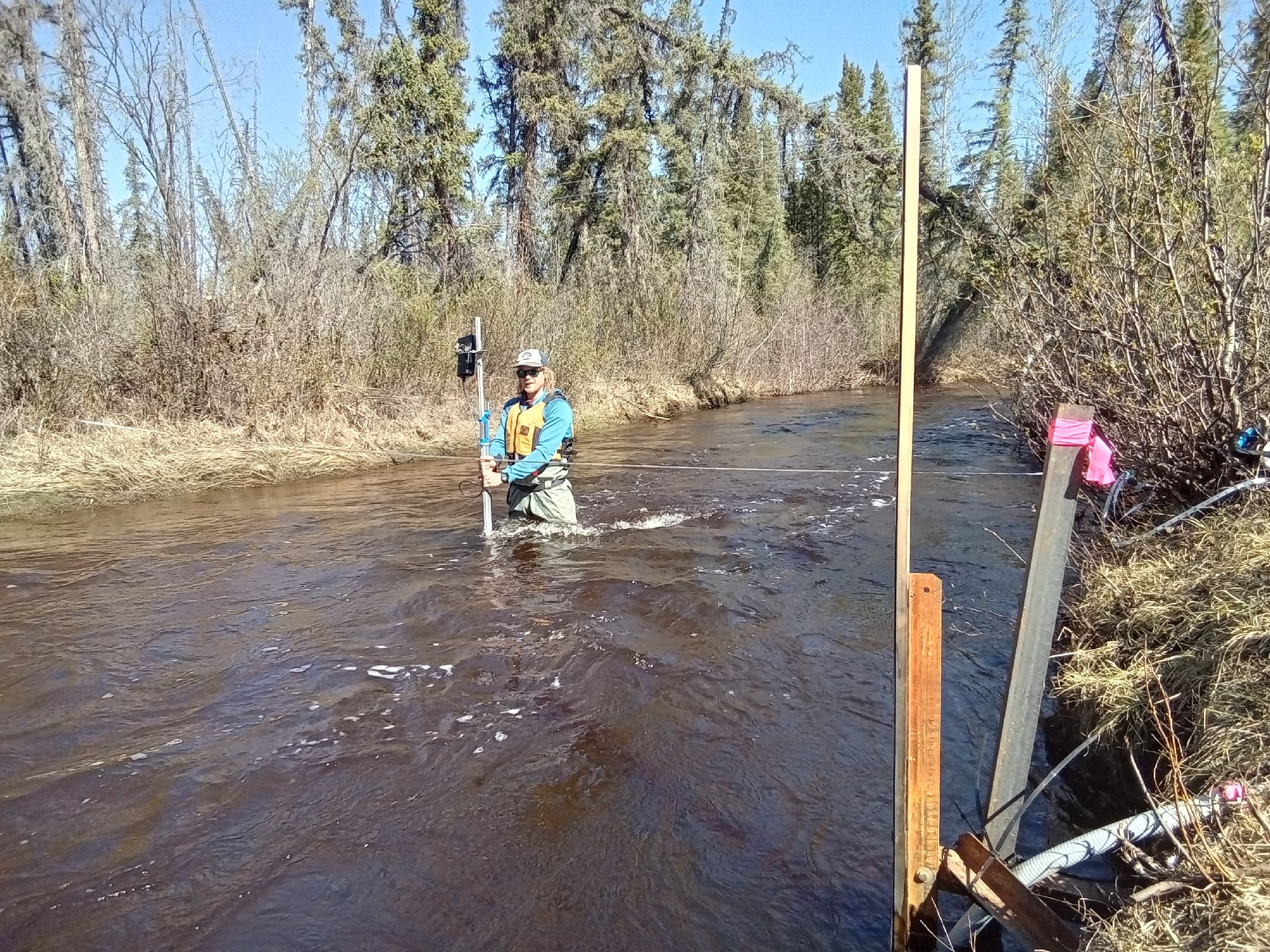 team member in middle of river with equipment in a forest