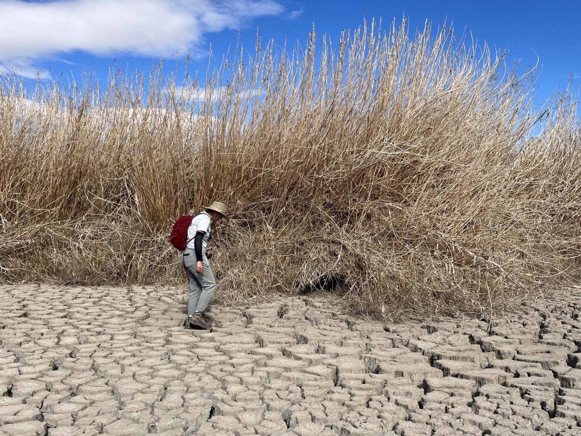 Dry_Depression_N_R_Drain4