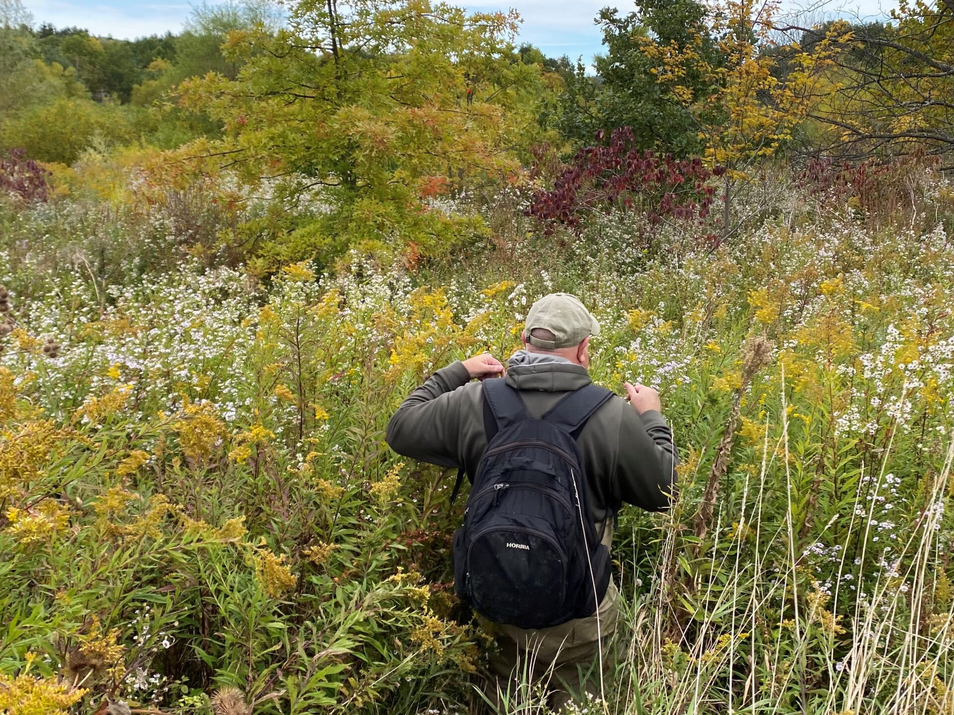 man in wild grass