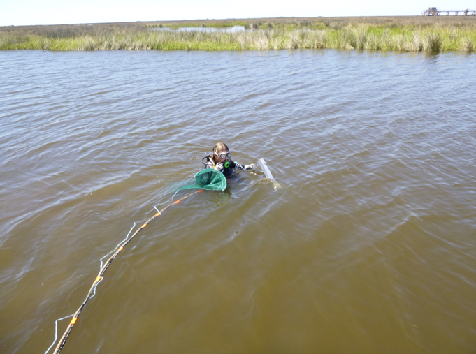 staff on site at dredging project