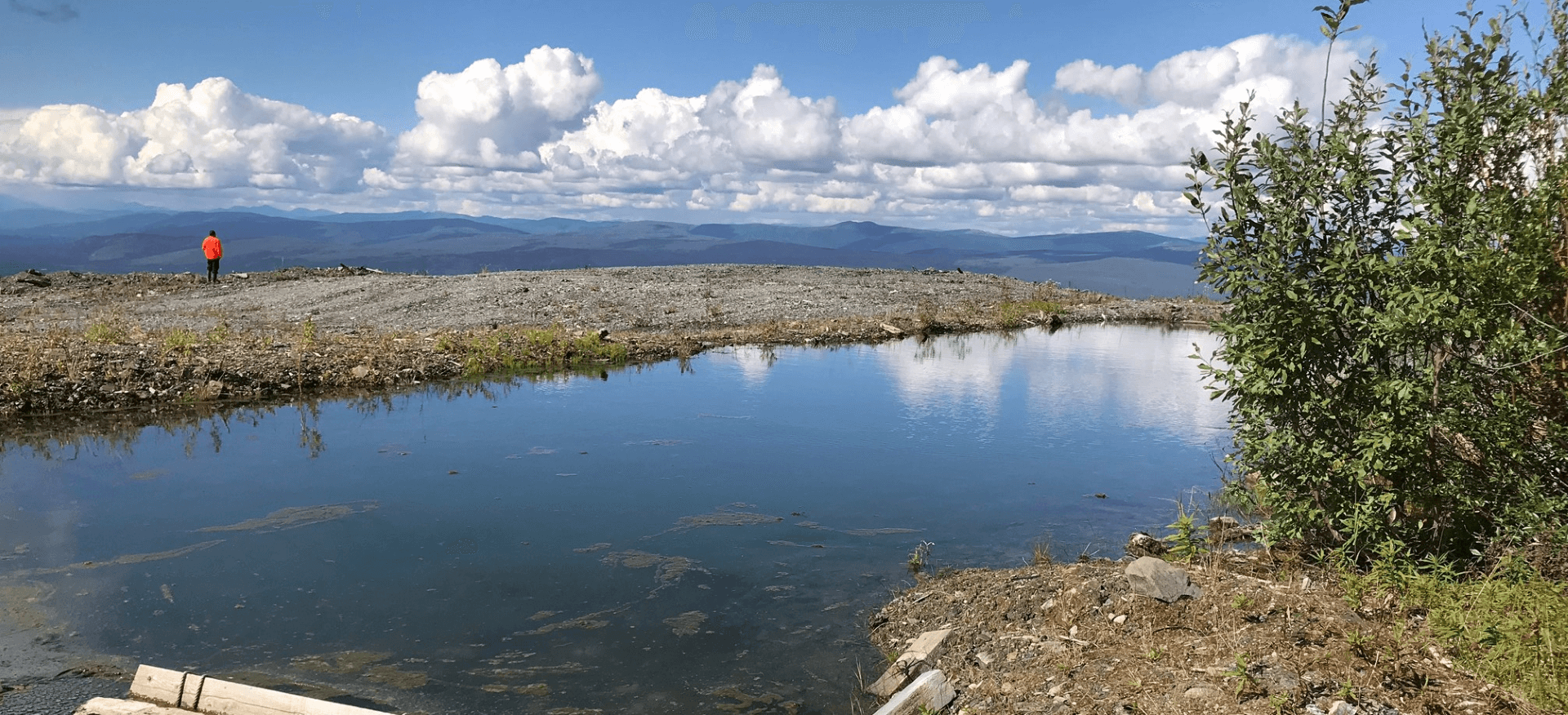 team member walking along side of lake with trees