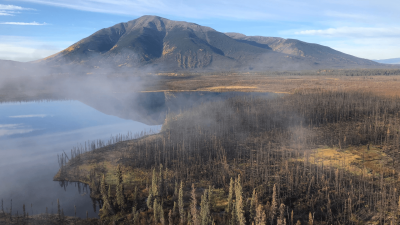 tree area and lake from above in mountain setting with fog