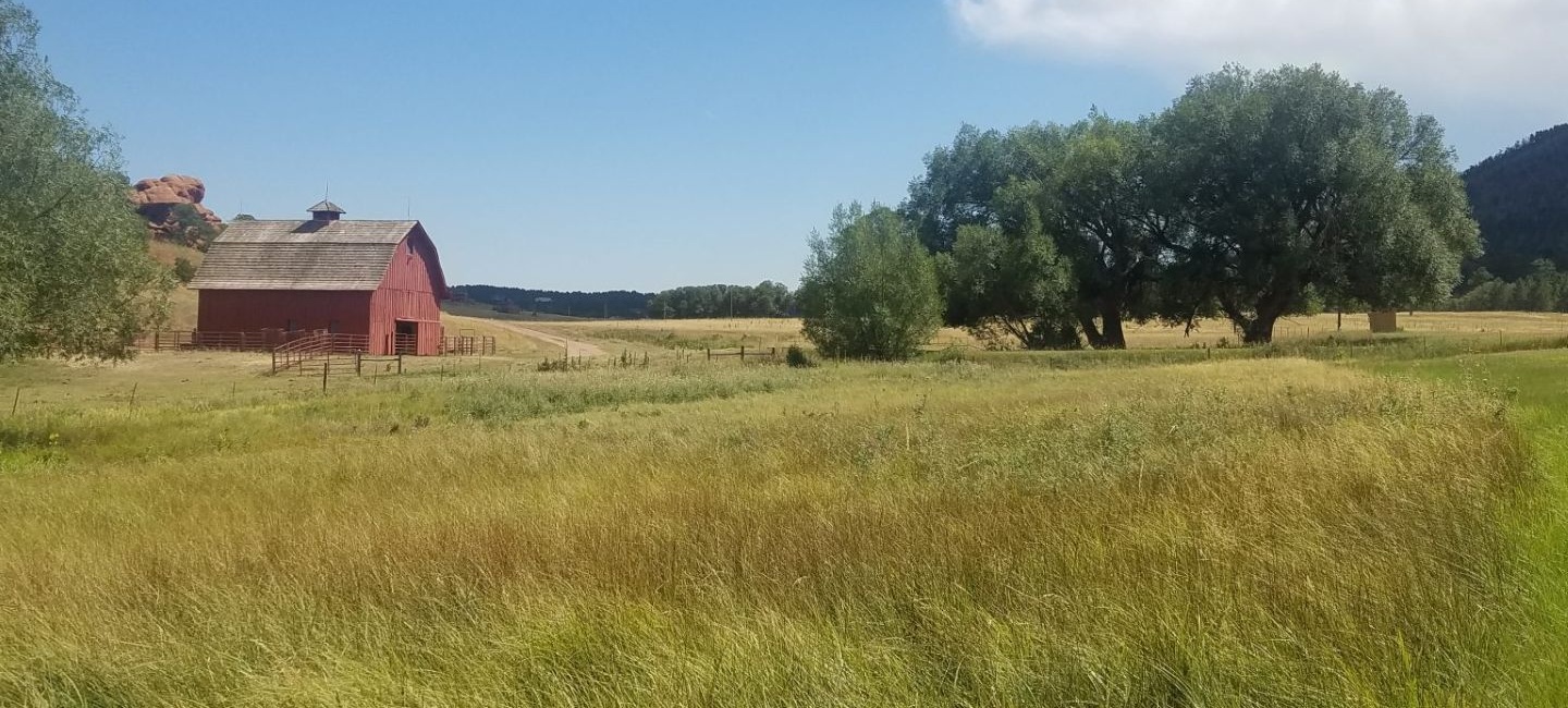 red barn and trees on open field