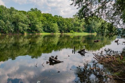 river and trees in loudon county virginia
