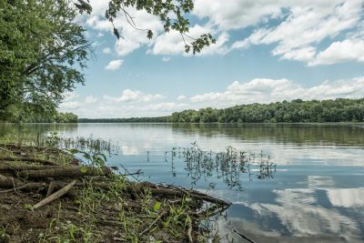 view of potomac river from riverbank