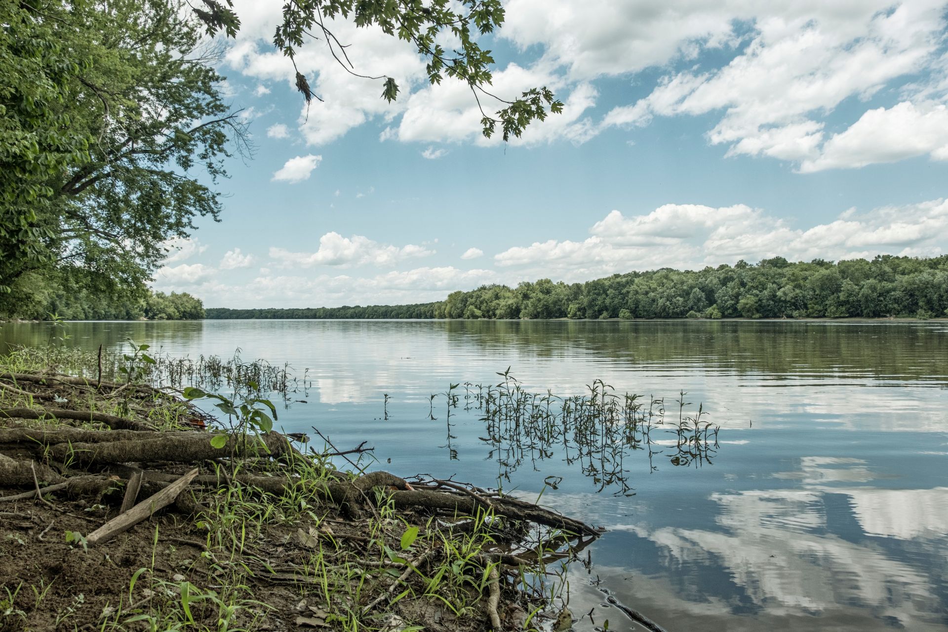 view of potomac river from riverbank