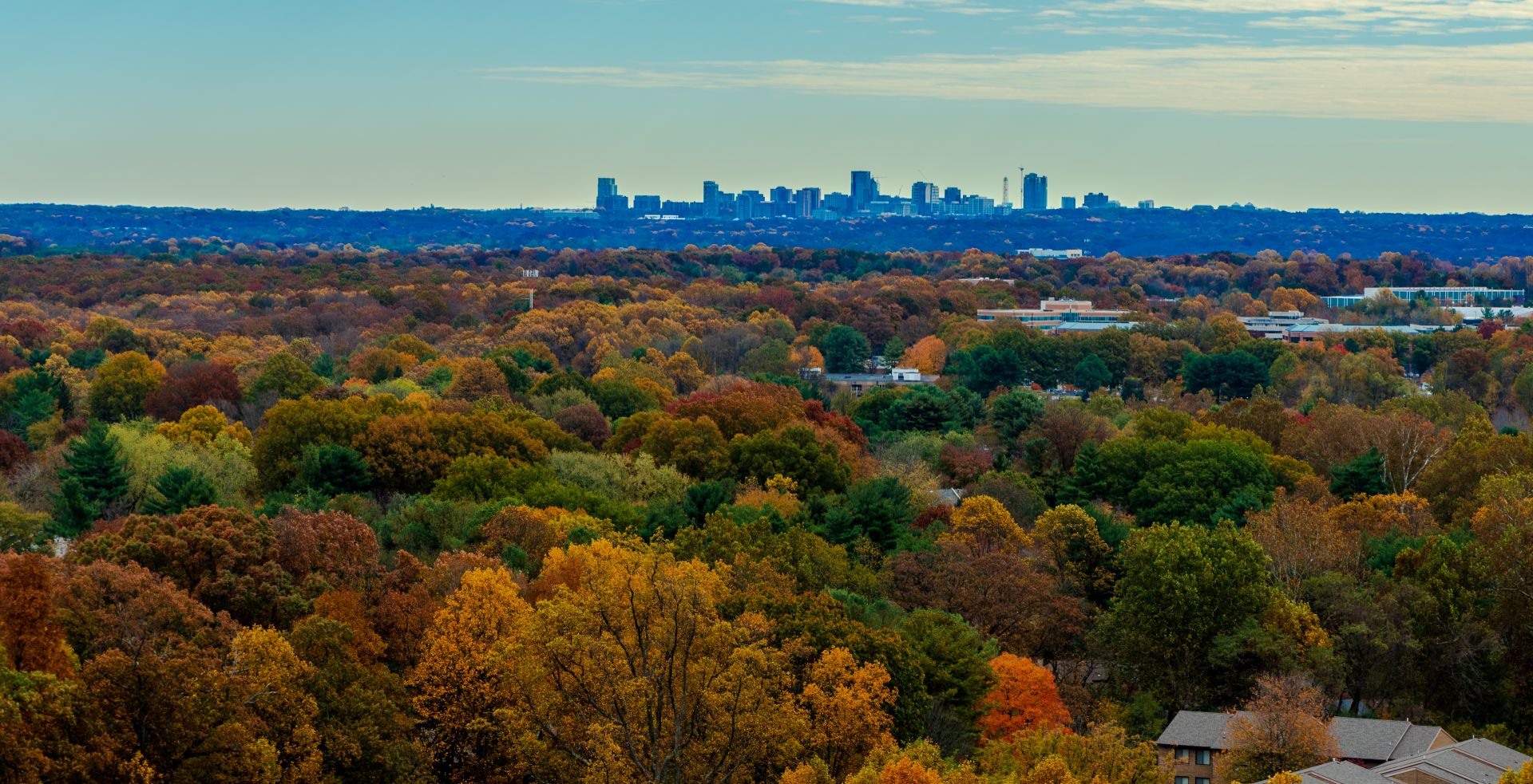 aerial view of fairfax county with skyline in the distance