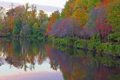 river and trees in virginia