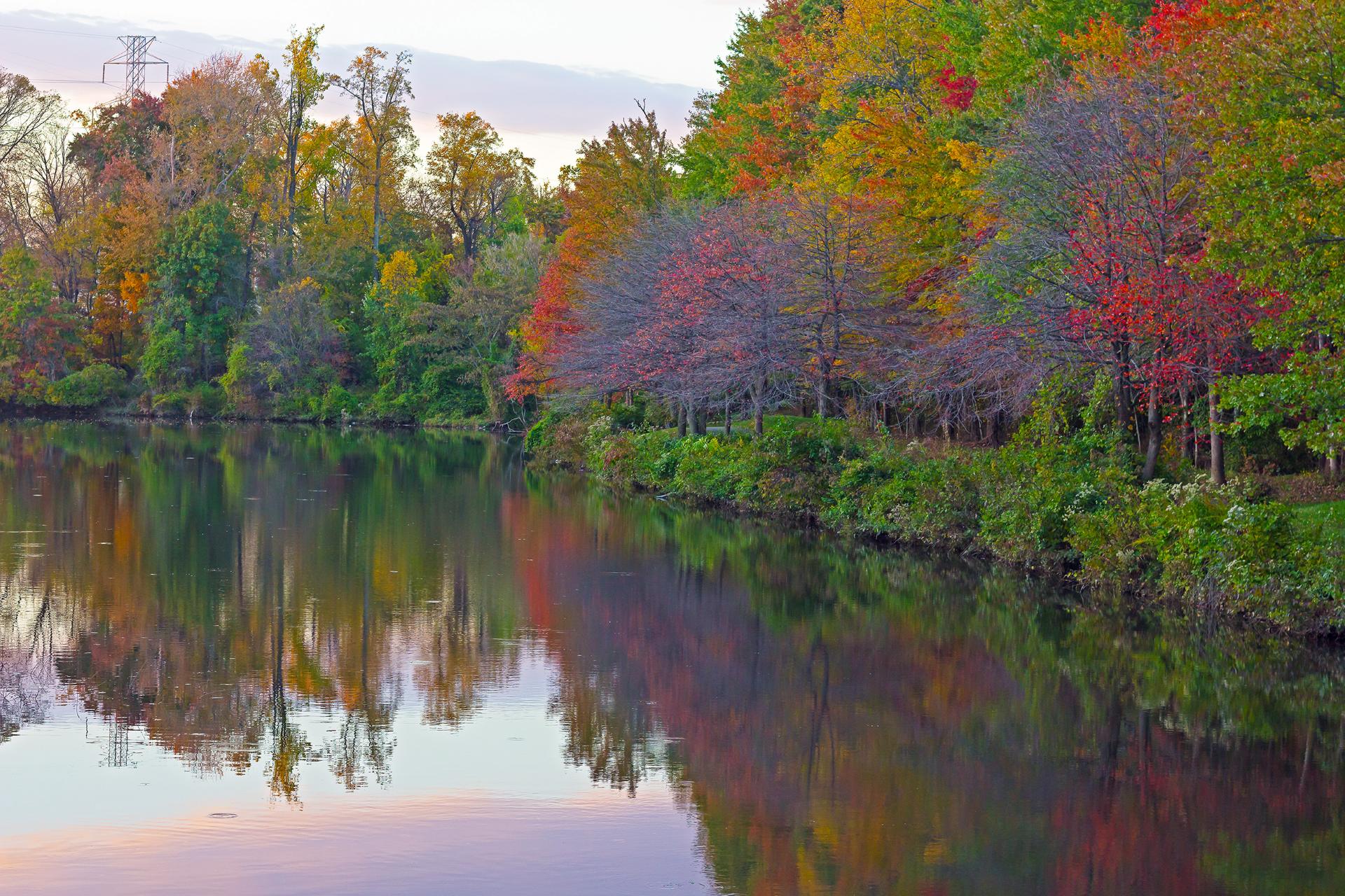 river and trees in virginia