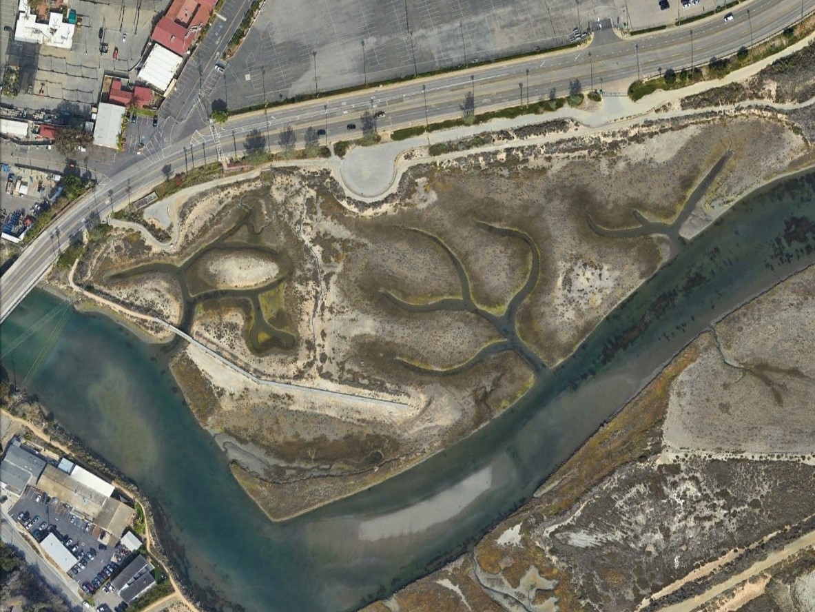 aerial view of parking lot area now restored as a wetland marsh