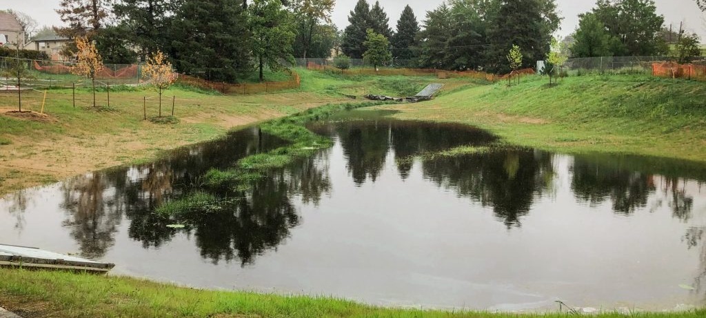 view of pond and grasses in the park