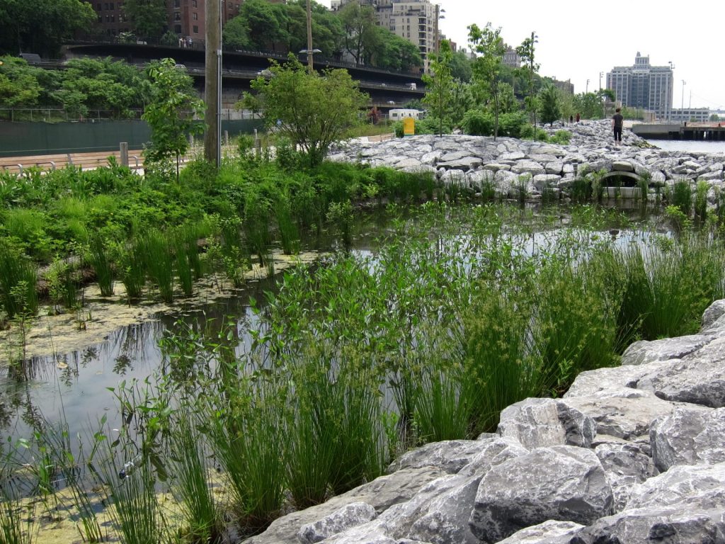plantings and rocks at brooklyn bridge park