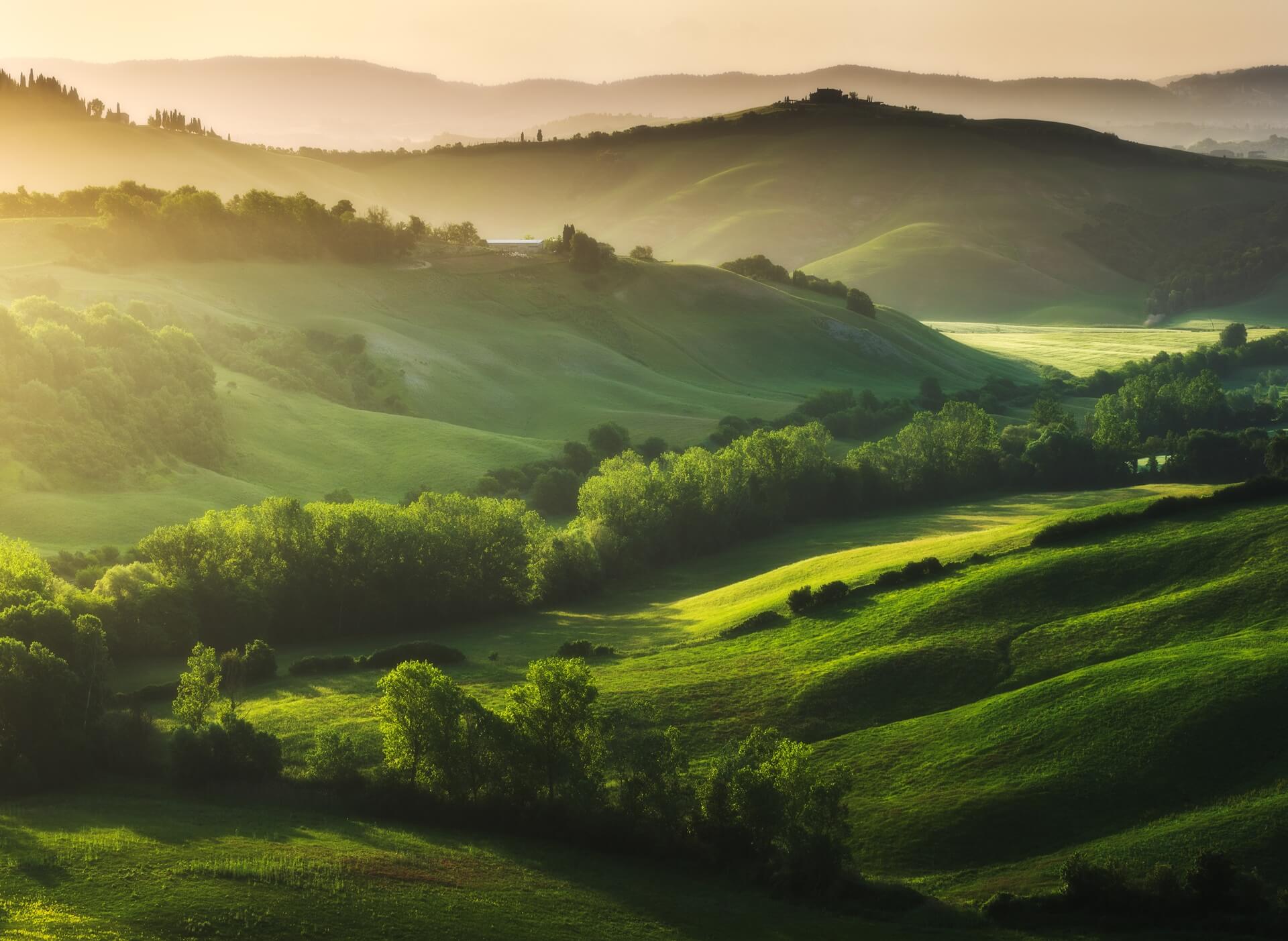 rolling green hills at dusk