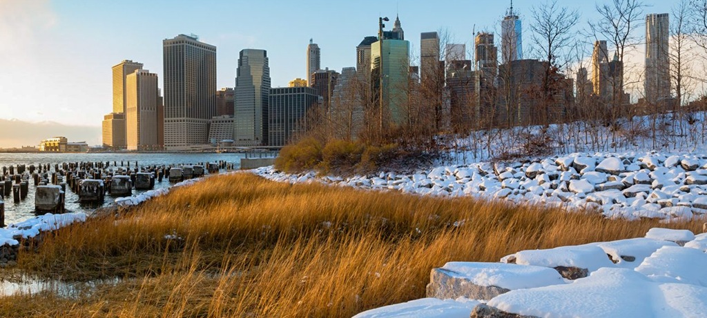 grassy area with snow and nyc skyline in background