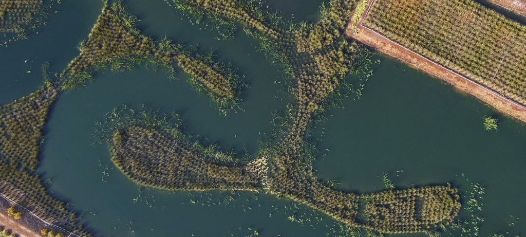 aerial view of aquatic design