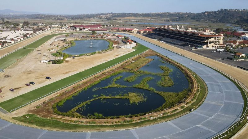 Del Mar Fairgrounds Treatment Wetlands