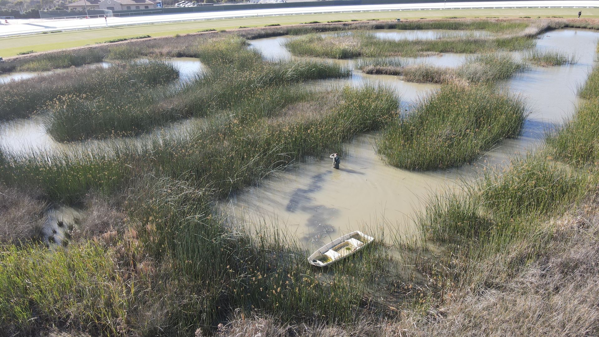 aerial view of team member and boat in wetland space