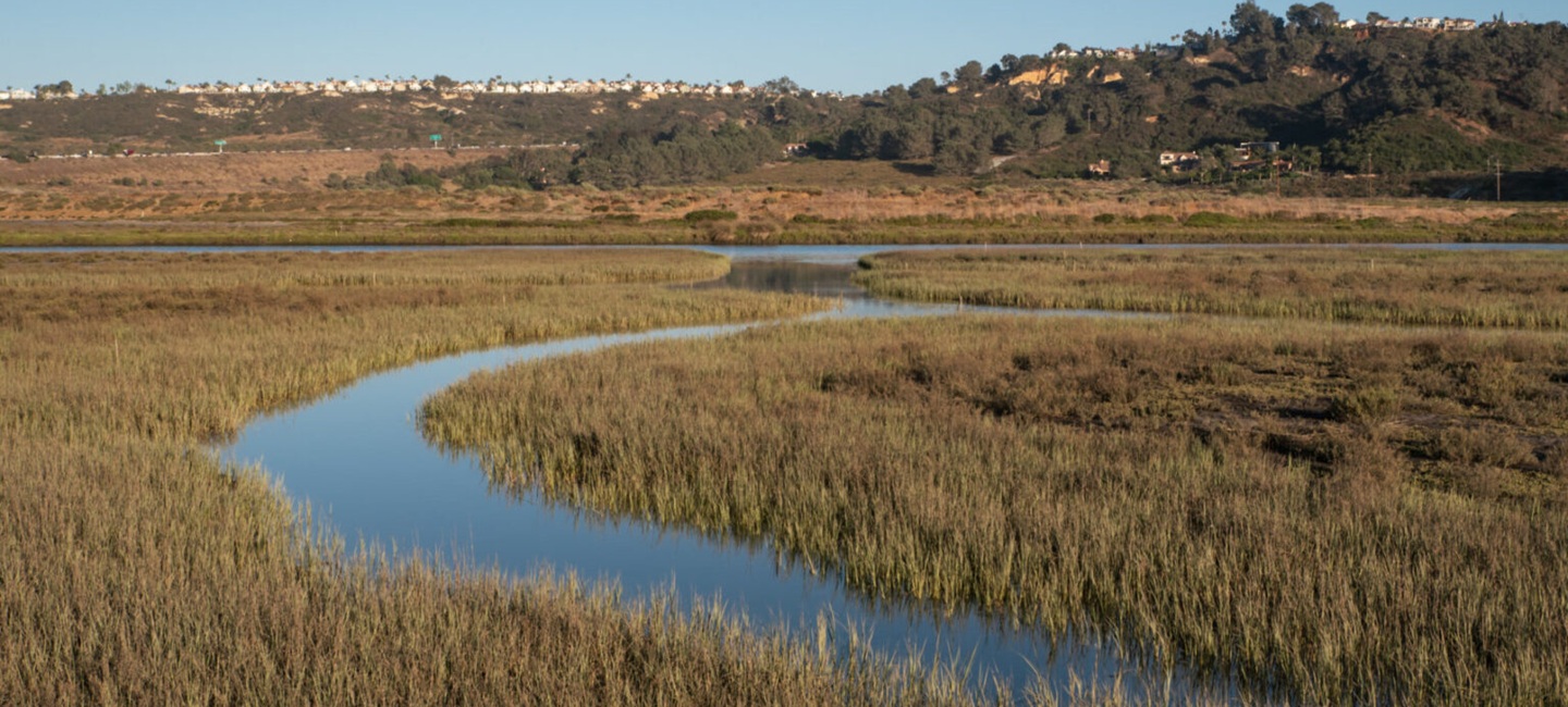 river waterway in grassy marsh land