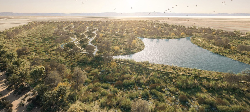aerial view of wetland area
