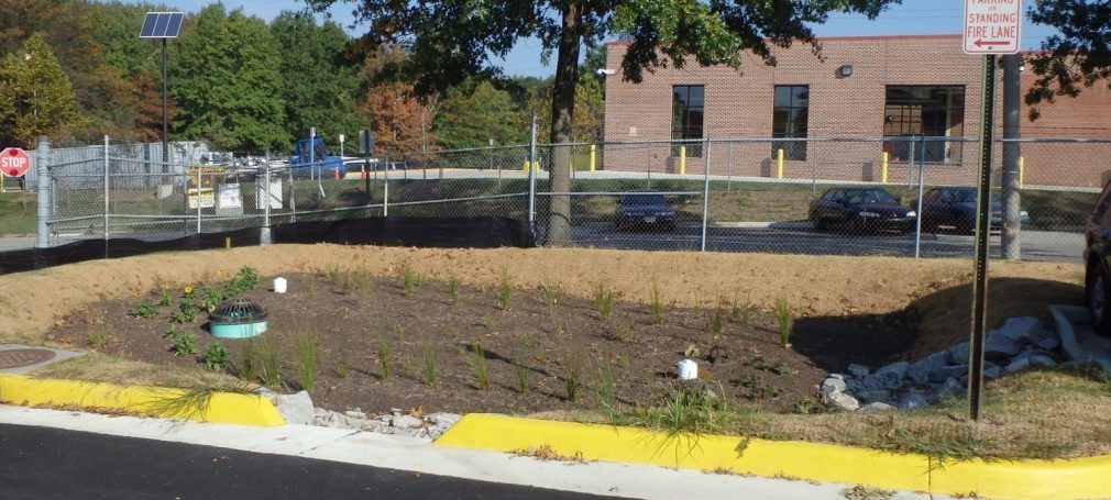 bioretention facility in front of buildings