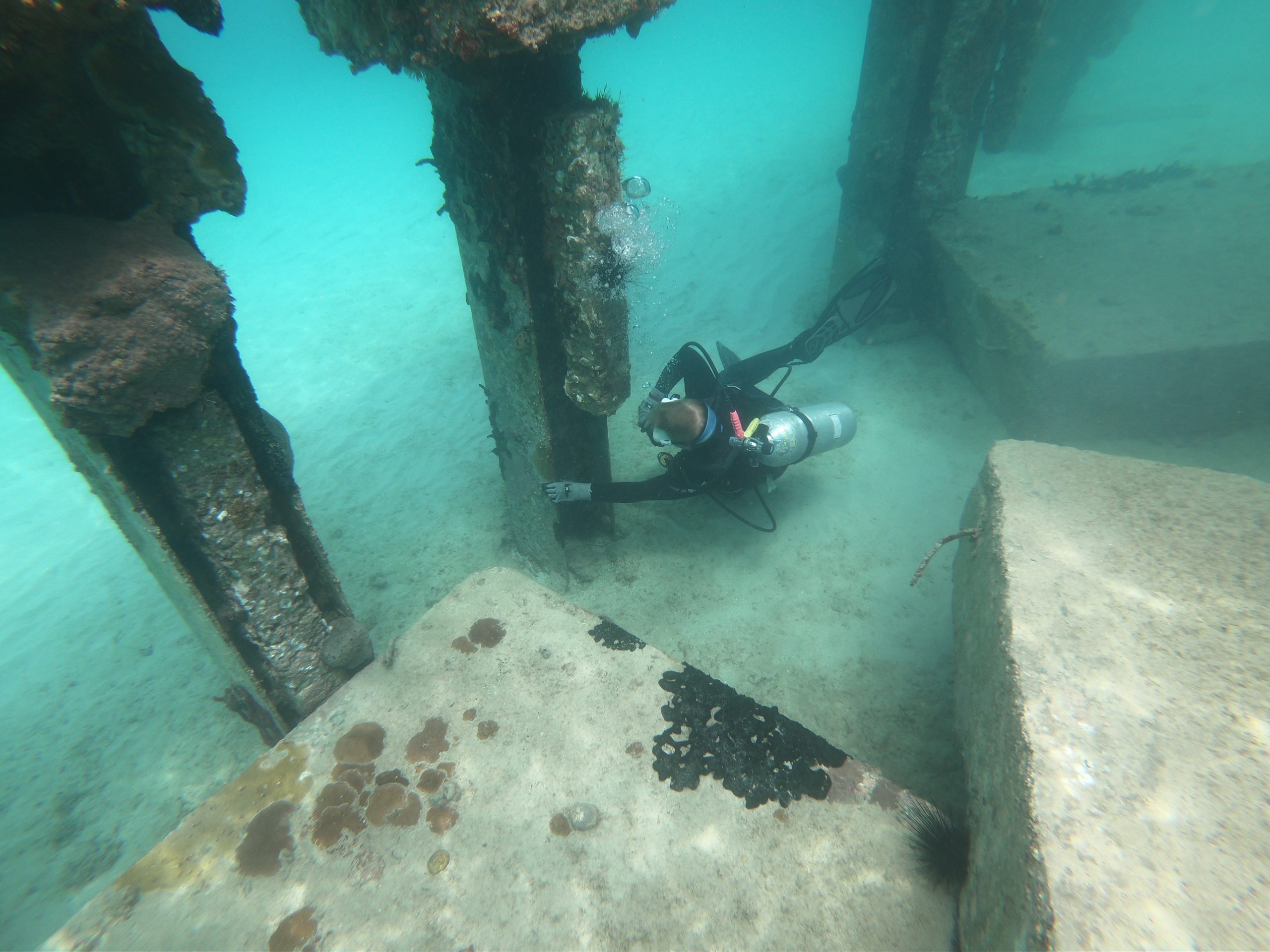 under water shot of scuba fiver inspecting underwater infrastructure