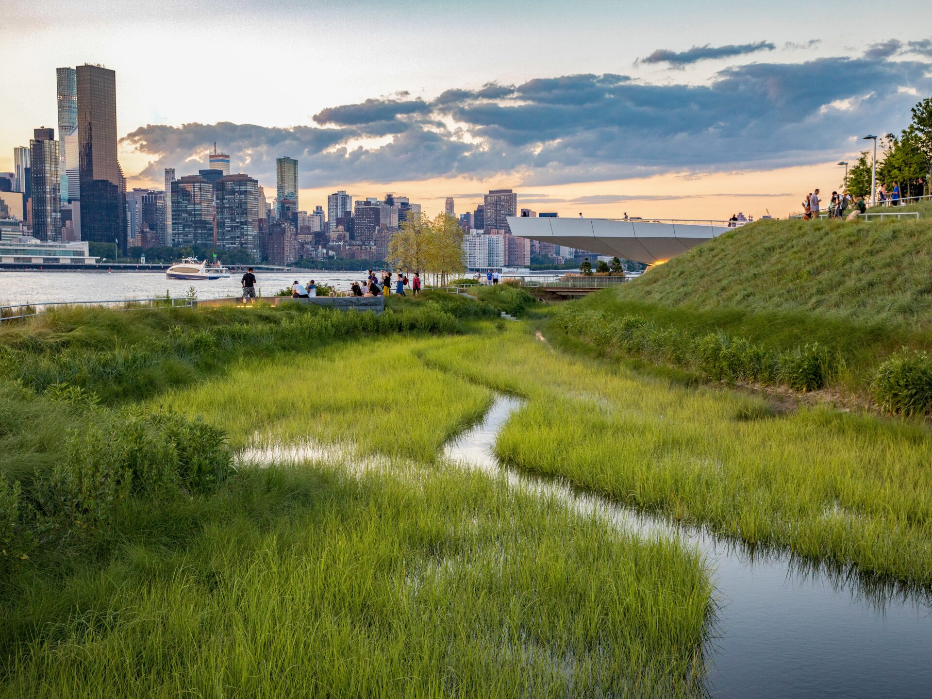 view of wetlands at park by river and nyc skyline