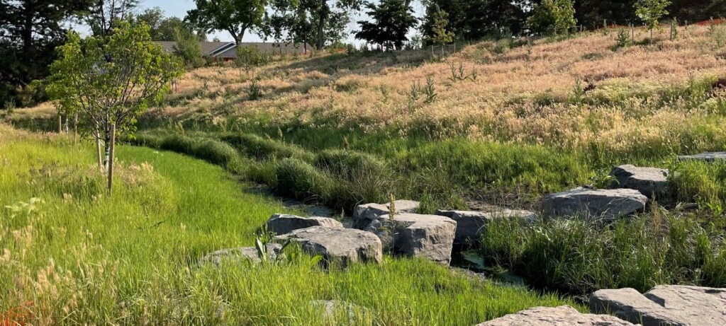 view of creek and stone steps on hill area in park