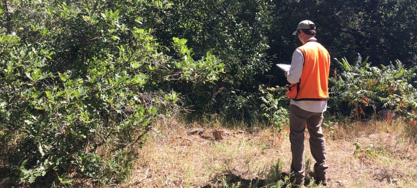 staff in high visibility vest taking notes by forests edge