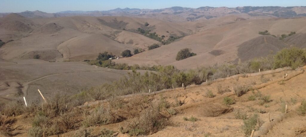 dry coastal land with some wooden stakes to delineate