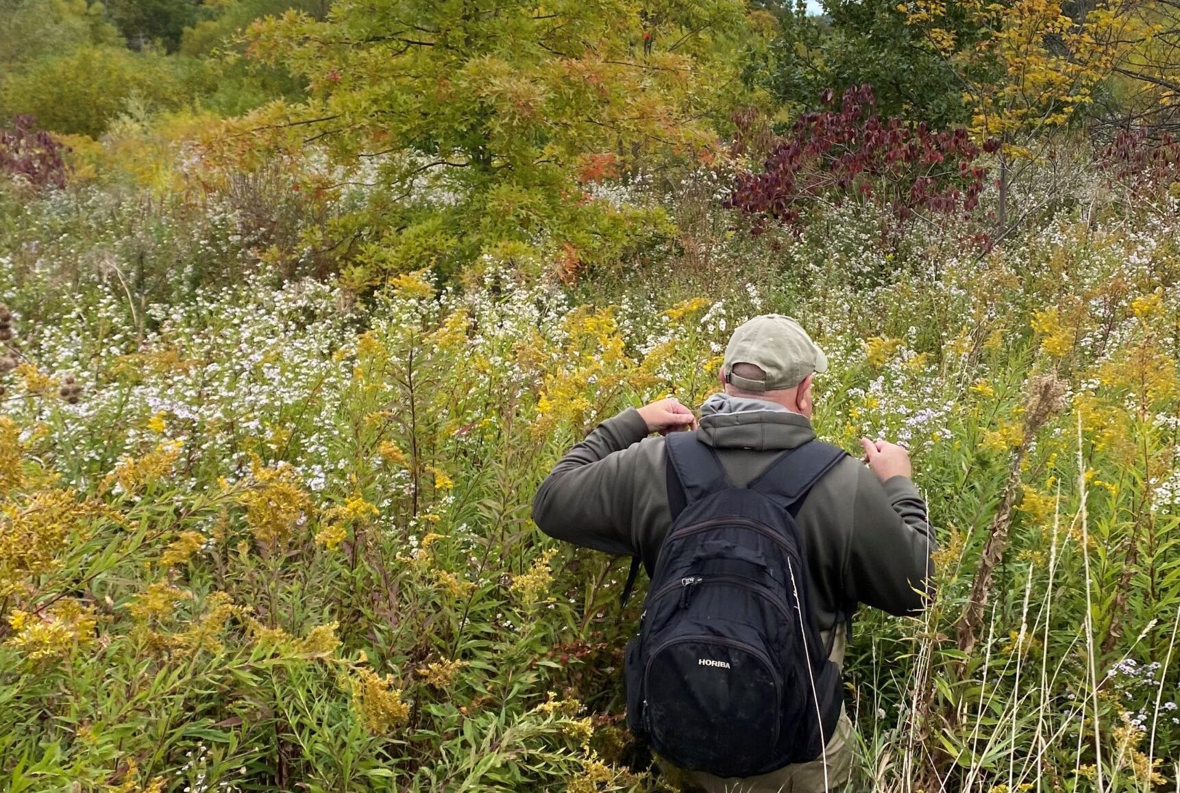 man walking in field