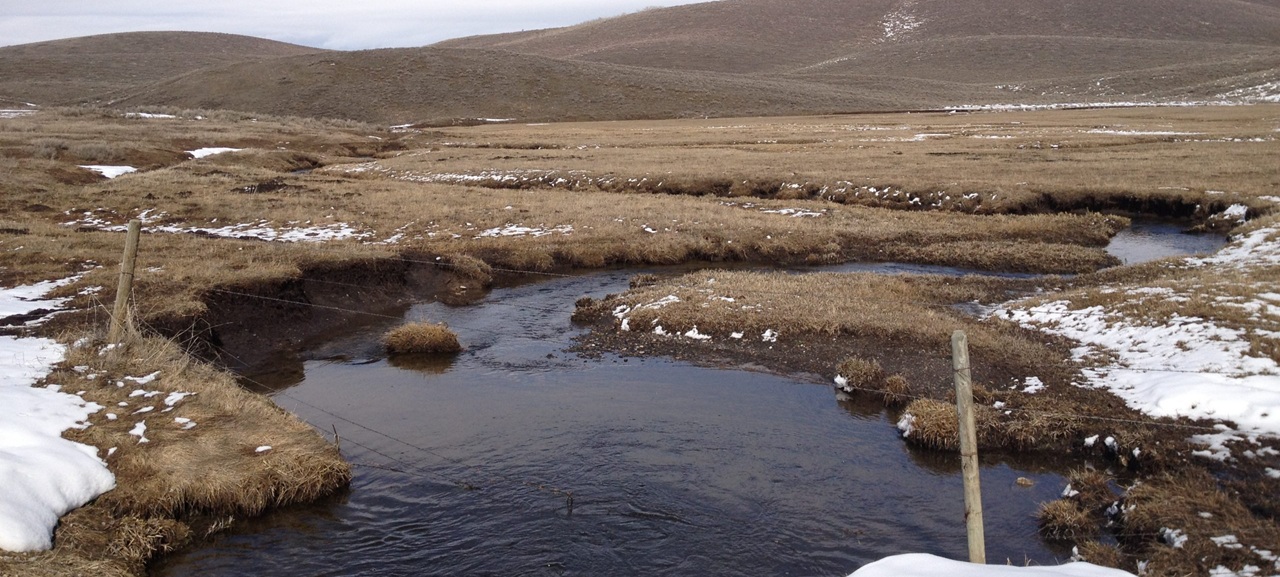 stream in mountain field with snow