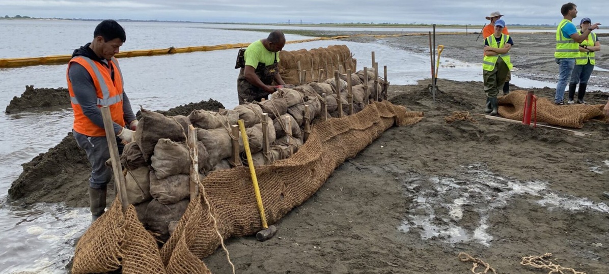 staff on muddy shoreline with burlap and living shoreline supplies