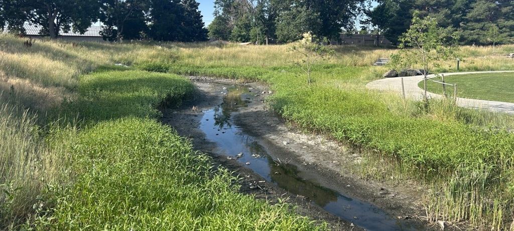 view of creek and grasses in park with sidewalk on right
