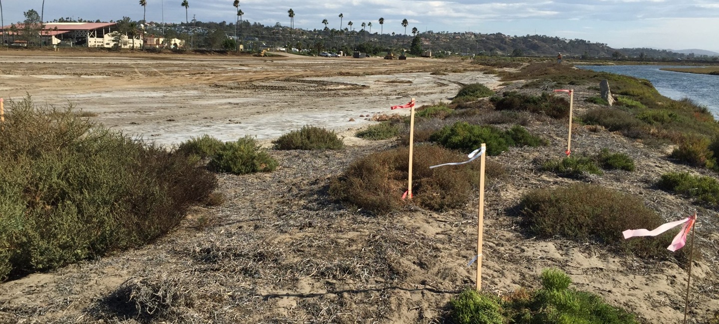 dirt area in progress with wooden stakes in the dirt