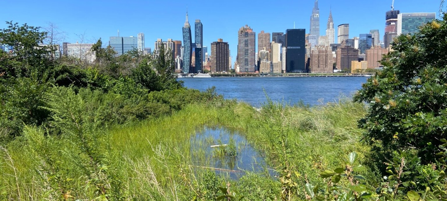 green grasses with skyline and river in distance
