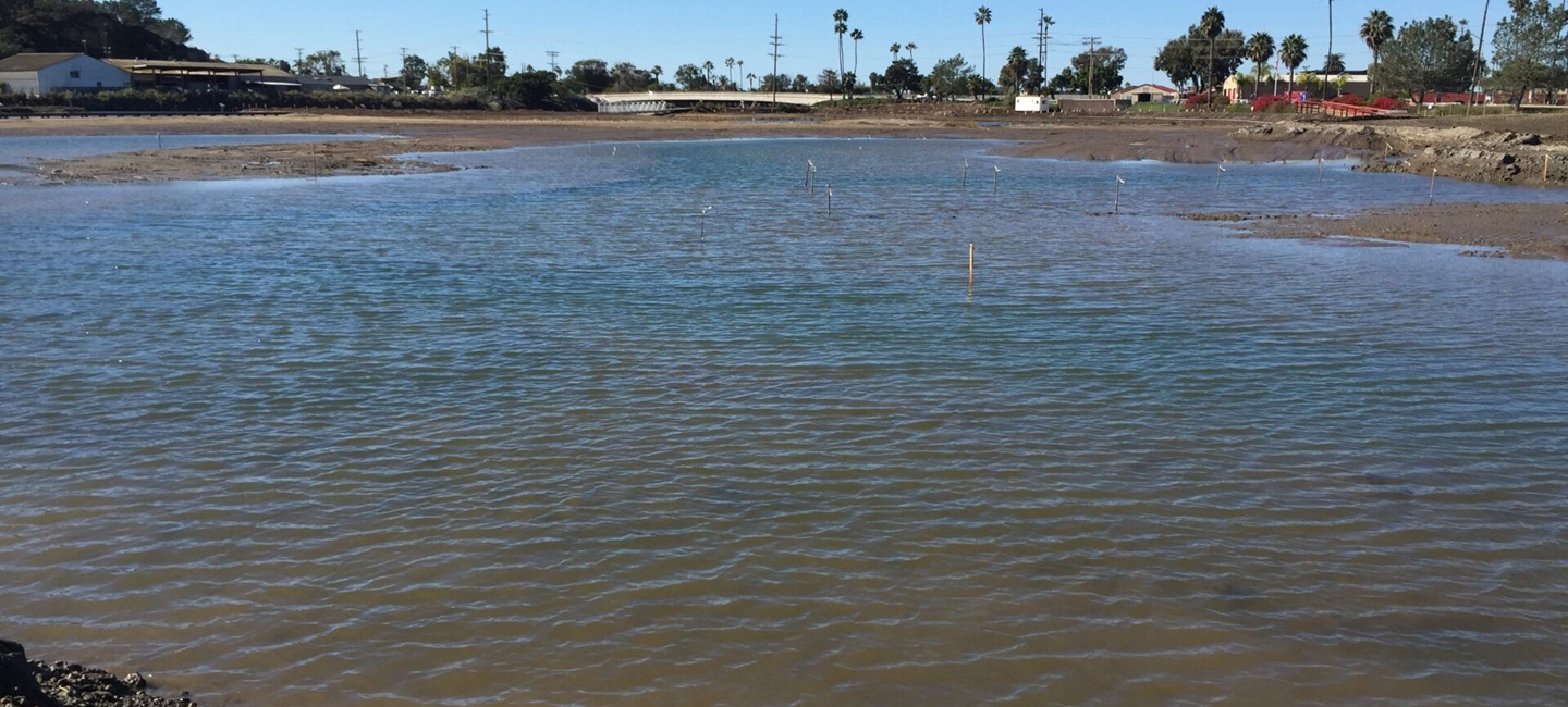 large body of water with dirt shoreline in distance