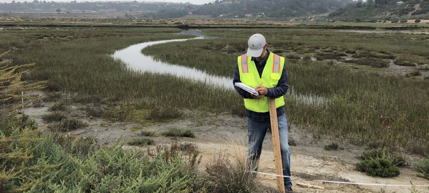 team member in high visibility vest taking notes in marshy waterway shoreline