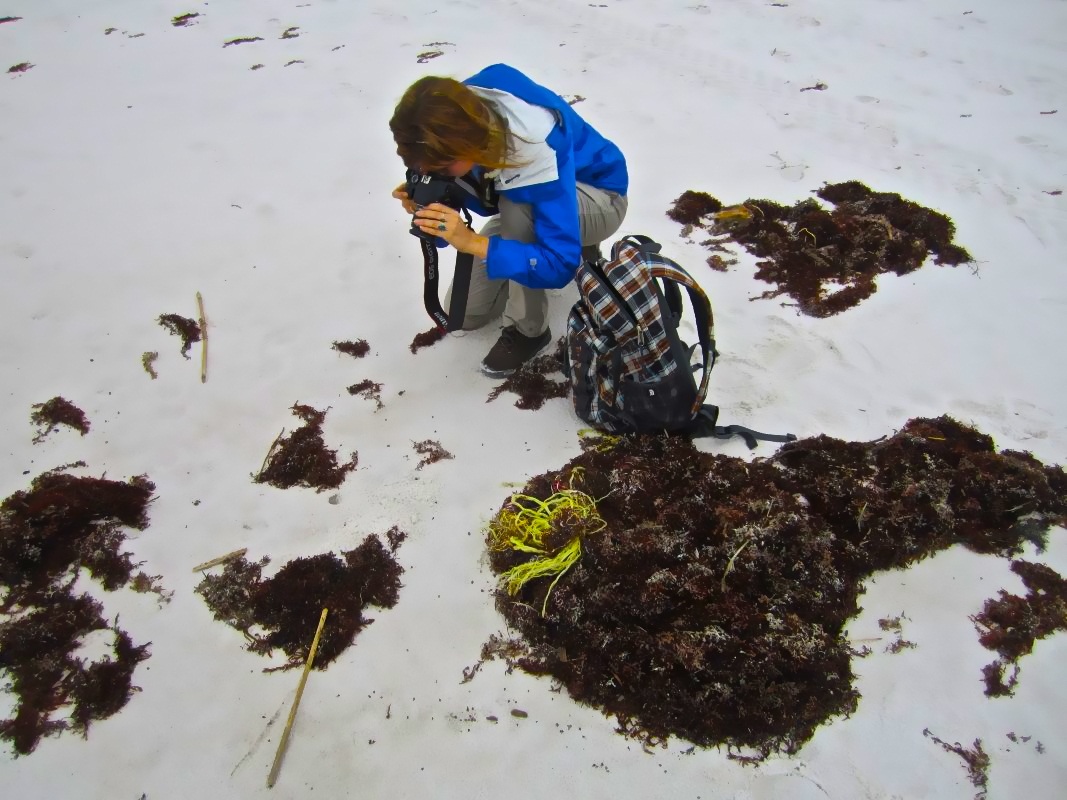 woman photographing oil on the beach