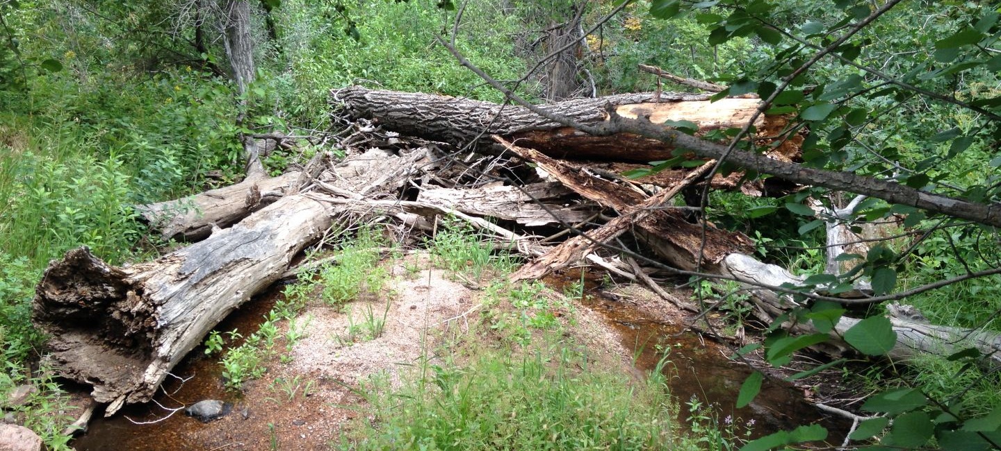 more than 2,500 acres of habitat in Douglas County were permanently protected as part of the mitigation project. Great Ecology developed habitat management plans for these sites and conducted mitigation site monitoring for a five-year period.