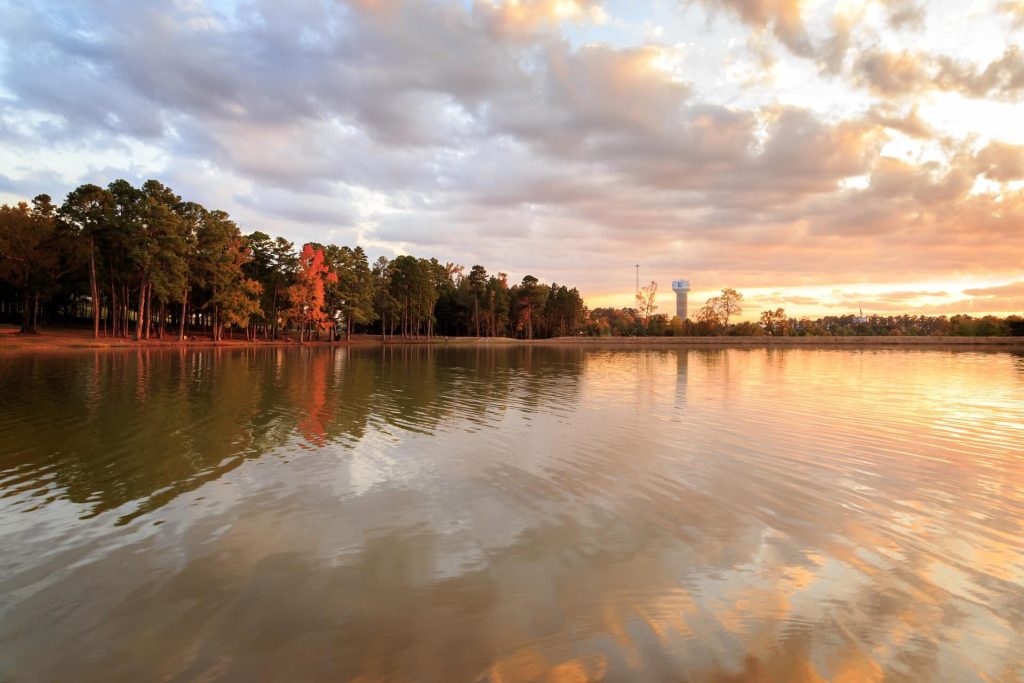 view of lake and trees with watertower in longview texas
