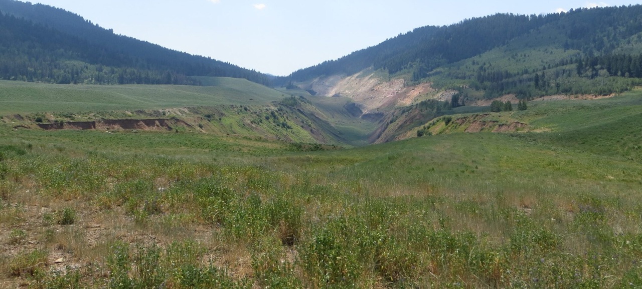 grassy field in mountain terrain