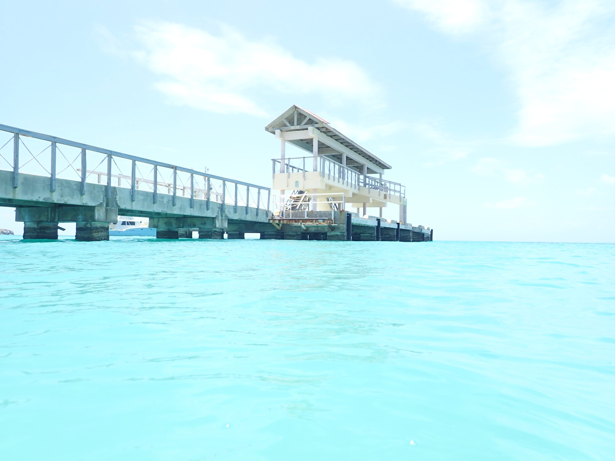 tropical looking water with pier