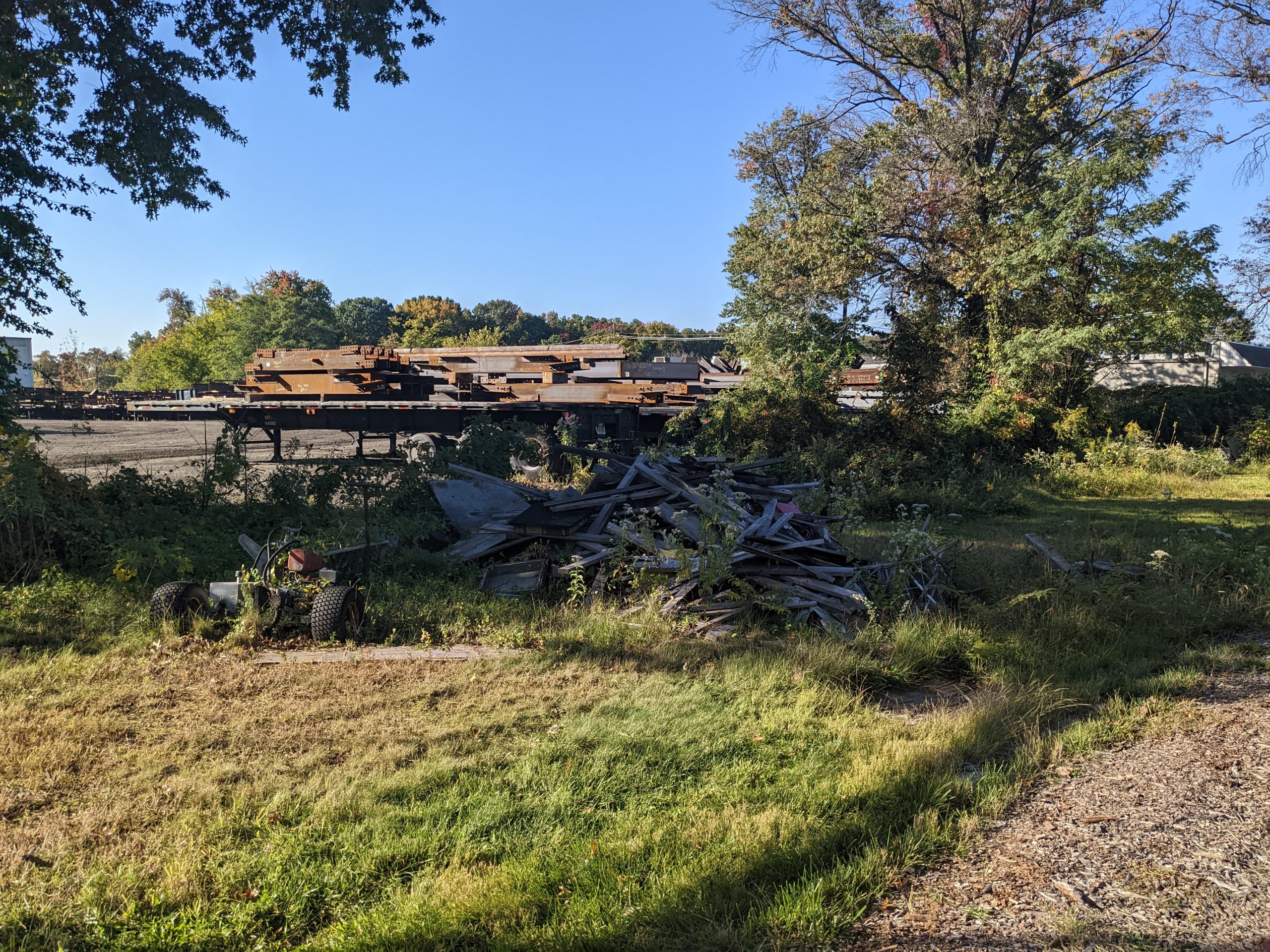 trees at old steel facility