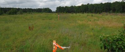 open field with wooden flagged markers