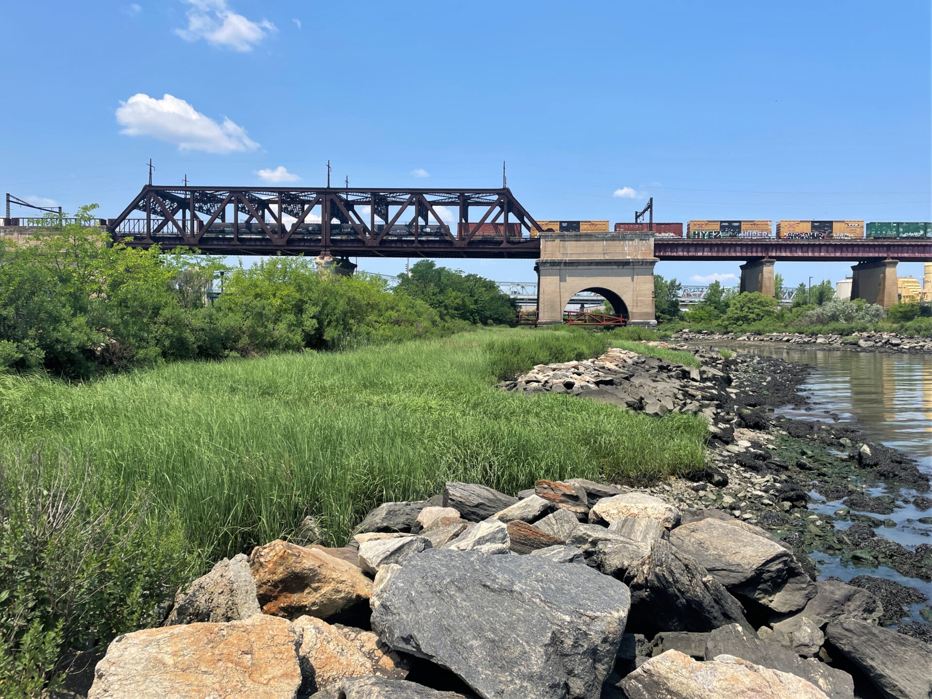green grasses along rocky shoreline with bridge in background, restored randalls island area